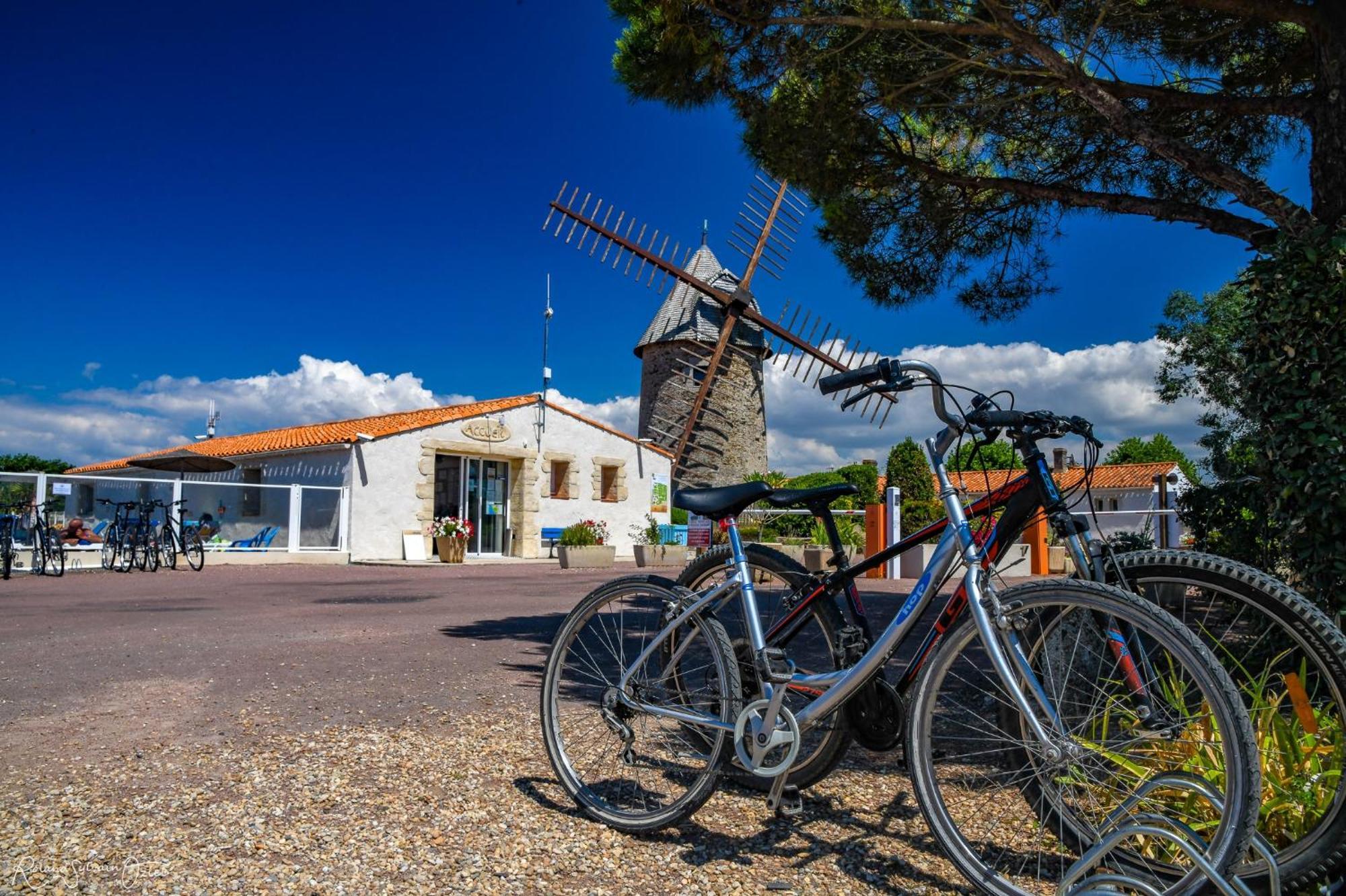 Camping Le Moulin De La Salle لي سابلِ دولونْ المظهر الخارجي الصورة